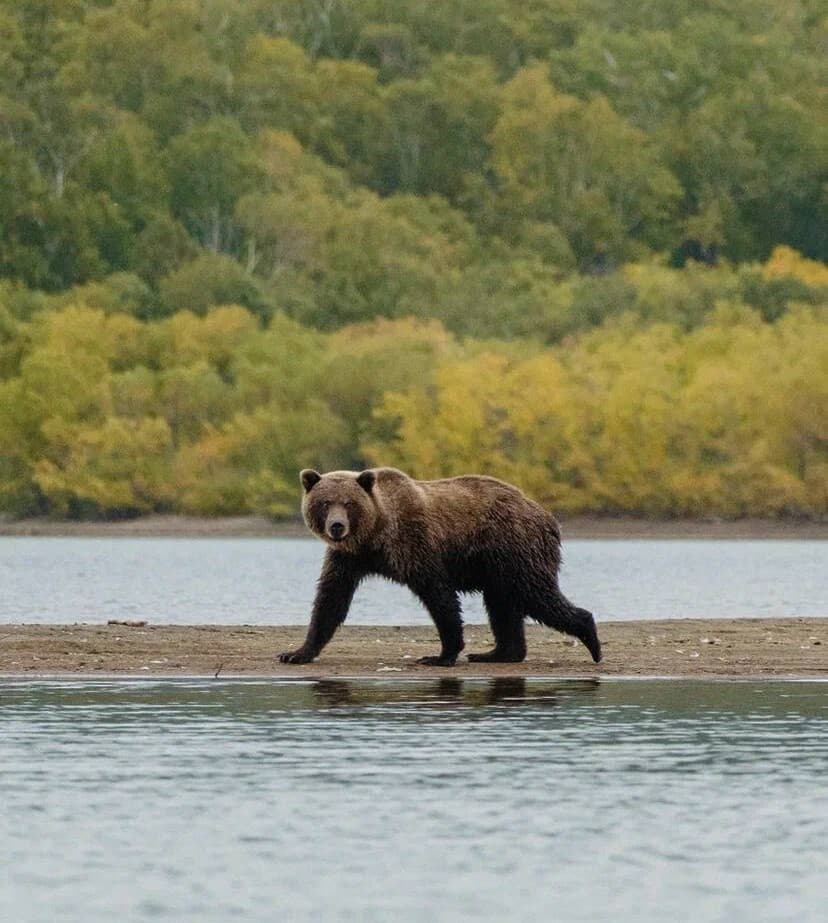 морская прогулка к острову Старичков